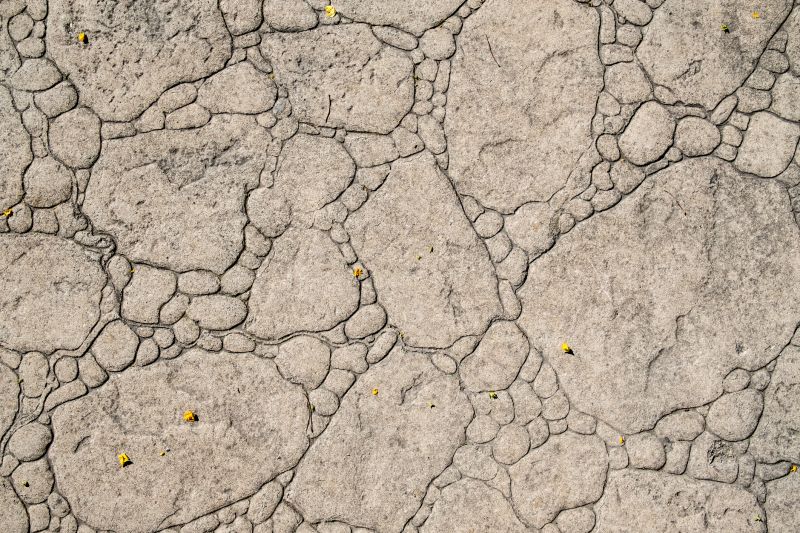 Decorative Concrete Repair in Essex County, NJ